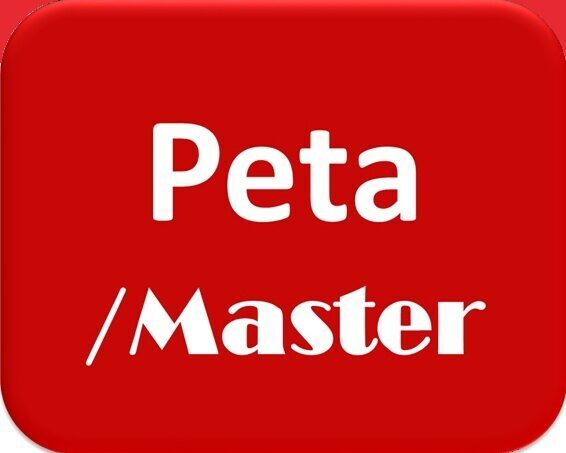 Petamaster Technology Investment